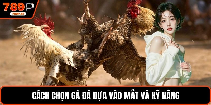 Cách chọn gà đá dựa vào mắt và kỹ năng
