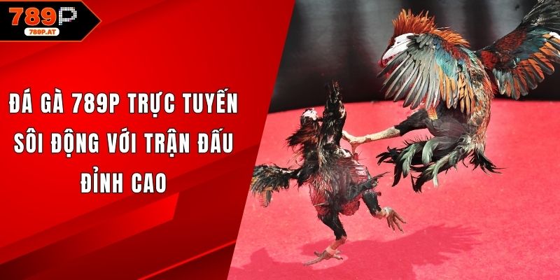 Sảnh Đá gà 789P